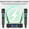 Wireless Microphone Receiver Set
