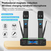 Wireless Microphone Receiver Set